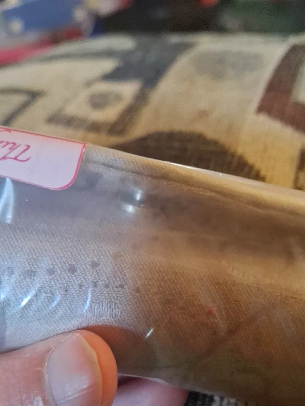 thirty-one Double Lipstick Holder in Taupe Hampton